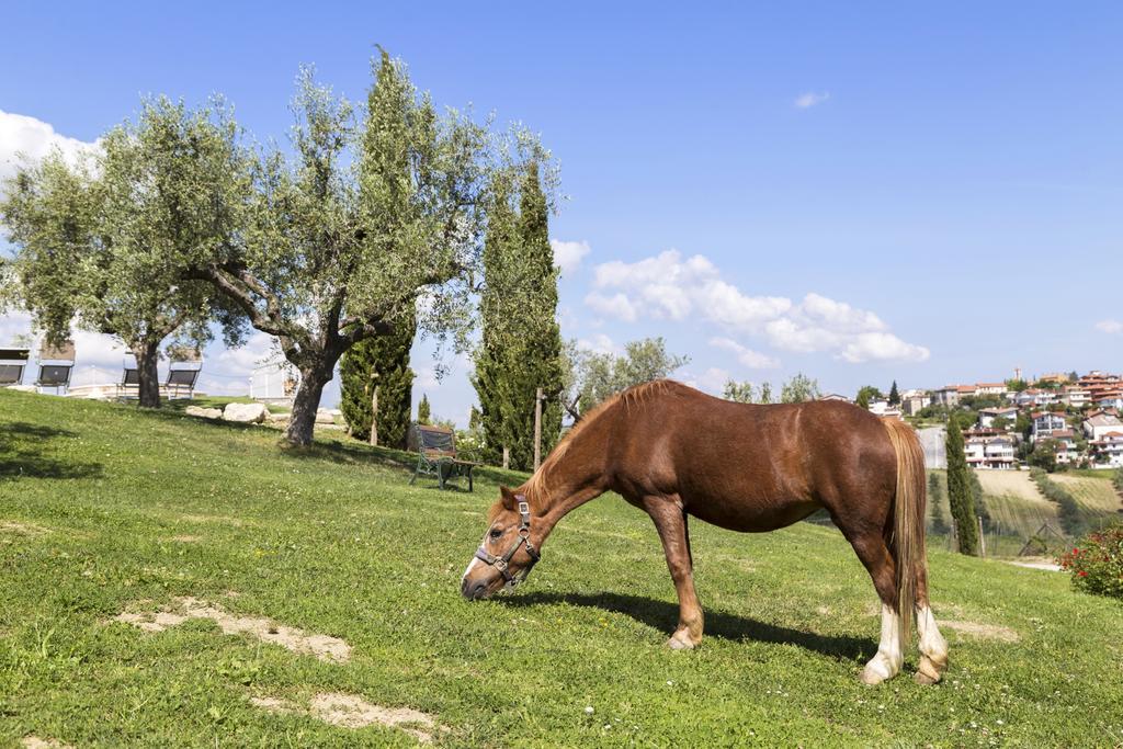Agriturismo Le Bosche Сан Марино Екстериор снимка