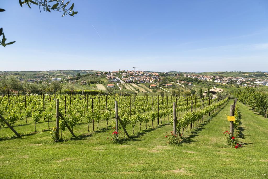 Agriturismo Le Bosche Сан Марино Екстериор снимка