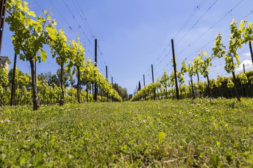 Agriturismo Le Bosche Сан Марино Екстериор снимка
