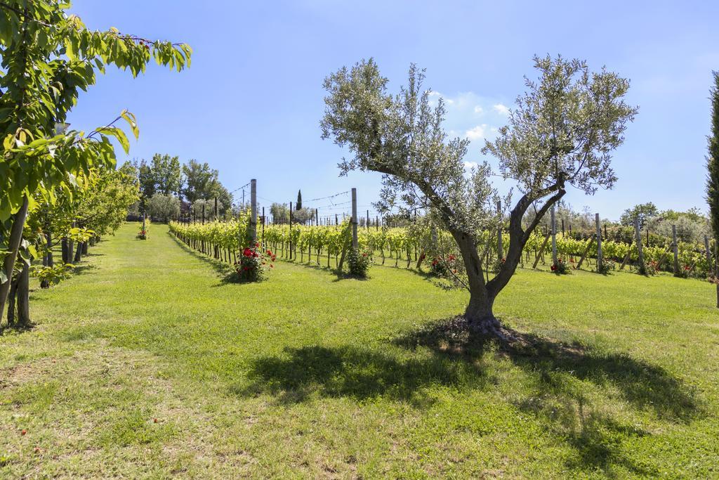 Agriturismo Le Bosche Сан Марино Екстериор снимка